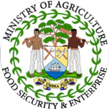 Ministry of Agriculture